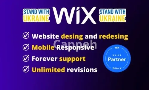 I will design a professional wix website with forever support