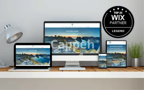 I will design beautiful wix studio websites with unlimited revisions