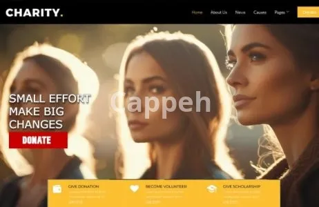 I will create nonprofit website for charity ngo fundraising donation non profit 501c3