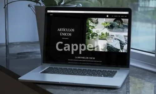 I will design and redesign wix website 24h delivery