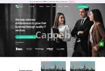 I will design and redesign your wix website and ecommerce store