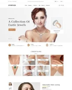 I will launch your shopify dropshipping store