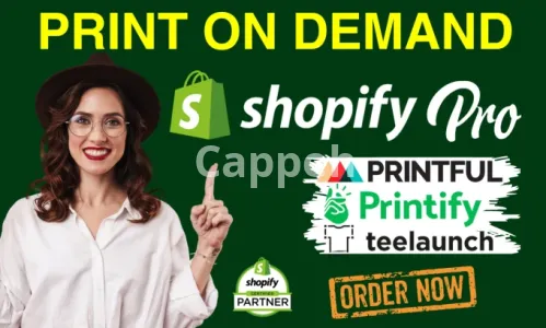 I will create a premium print on demand shopify store, pod store, or shopify website