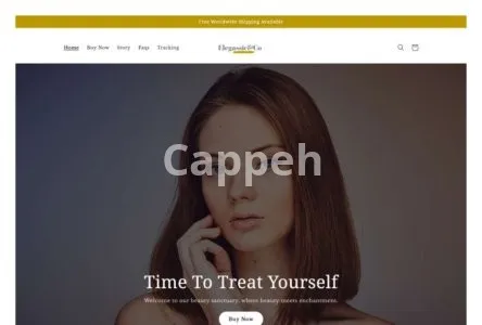 I will build a high converting dropshipping shopify store website