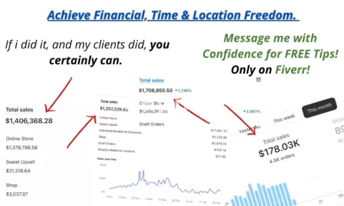 I will build a high converting dropshipping shopify store website