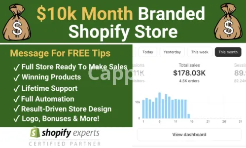 I will build a high converting dropshipping shopify store website