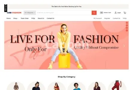 I will create responsive shopify website design, shopify store design