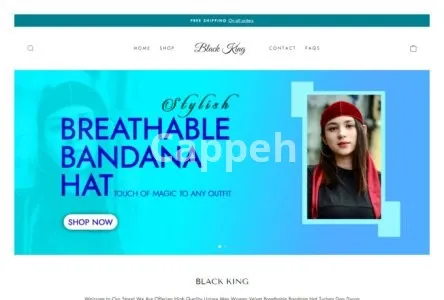 I will create responsive shopify website design, shopify store design