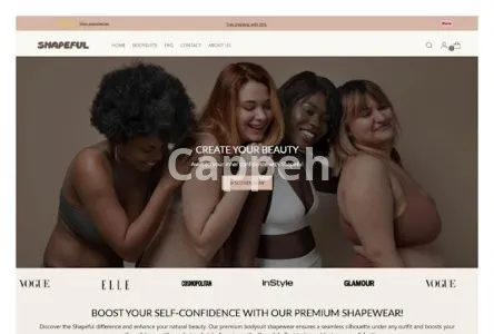 I will build a branded 7 figure shopify dropshipping store or shopify website