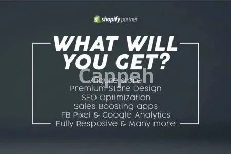 I will build a branded 7 figure shopify dropshipping store or shopify website