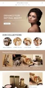 I will create an impactful shopify website design shopify store