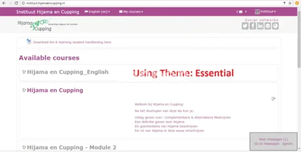 I will install, upgrade, manage, fix and customize moodle