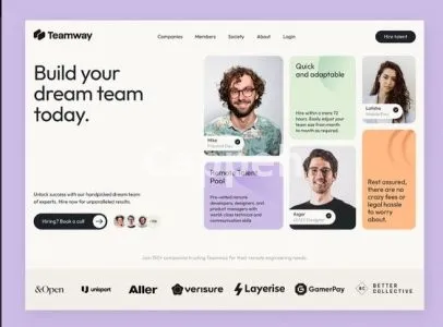 I will do custom ai software, full stack web application developer, PHP laravel website