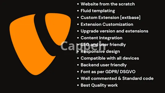 I will do professional typo3 web development