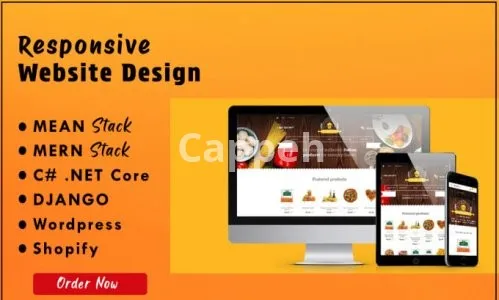 I will do full stack angular frontend and c sharp dot net backend website development