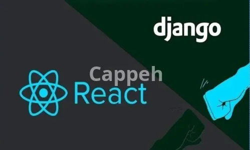 I will develop python django and react javascript web application for business