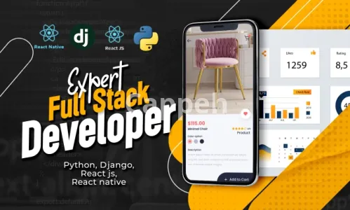 I will full stack developer web mobile apps saas mvp django react