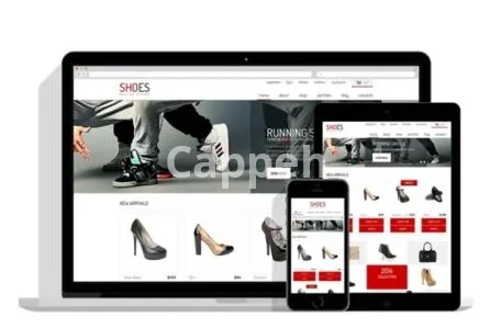 I will develop custom ecommerce website