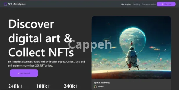 I will develop responsive website for your business in angular, dot net and sql