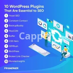 I will edit wordpress plugin or woocommerce plugin