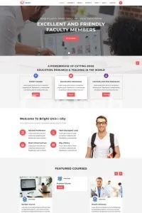 I will make a wordpress website in 24 hours with elementor