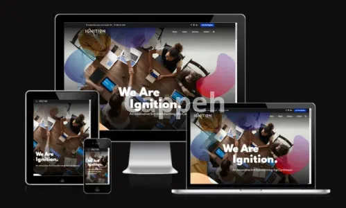 I will develop a wordpress business or ecommerce website in 3 days