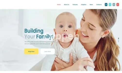 I will build nonprofit charity fundraising website with donation system
