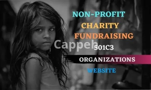 I will build nonprofit charity fundraising website with donation system