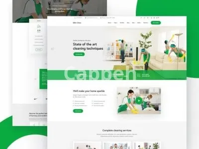 I will create cleaning company website or pest control company website