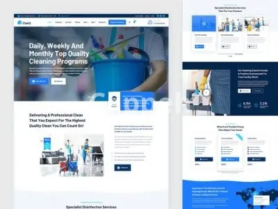 I will create cleaning company website or pest control company website