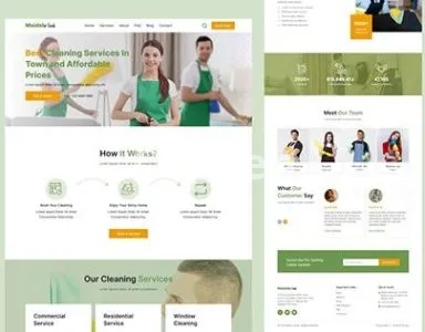 I will create cleaning company website or pest control company website