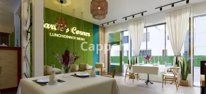 I will do retail store, restaurant, cafe, interior and 3d rendering