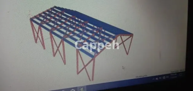 I will analyze and design the structure with structural software