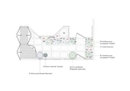 I will create a bespoke planting plan for your garden