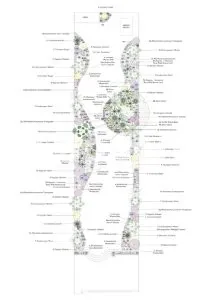 I will create a bespoke planting plan for your garden