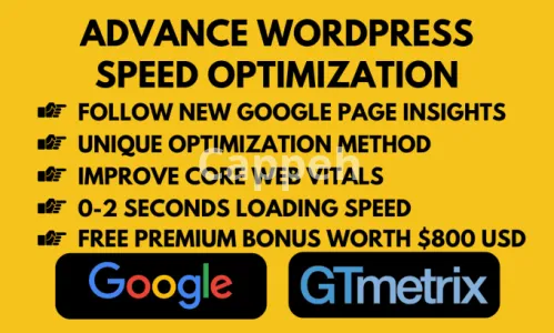 I will do wordpress speed optimization for google page speed insights