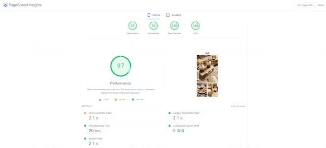 I will do shopify speed optimization and increase shopify score