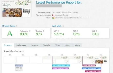 I will increase wordpress speed optimization for gtmetrix, google page speed insights