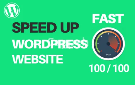 I will increase wordpress speed optimization for gtmetrix, google page speed insights