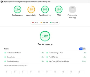 I will do wordpress website speed optimization, improve page speed