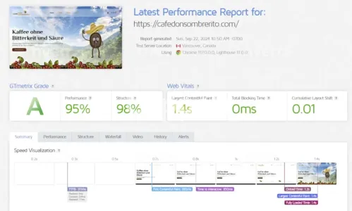 I will fully speed optimize wordpress website and improve load time