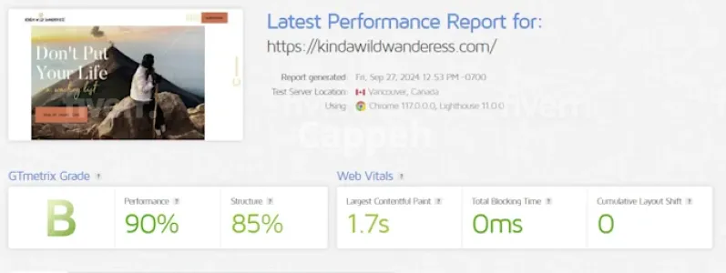 I will fully speed optimize wordpress website and improve load time