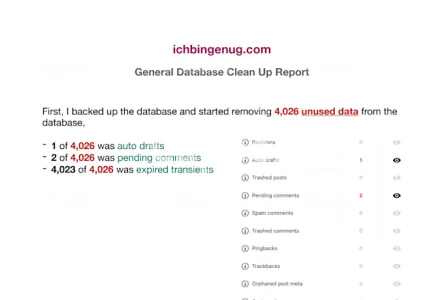 I will clean up and optimize your wordpress database