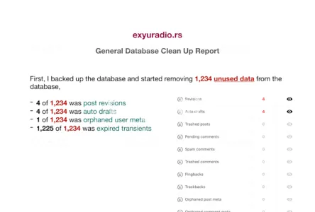 I will clean up and optimize your wordpress database