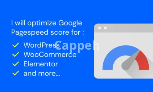 I will optimize pagespeed score for wordpress and elementor