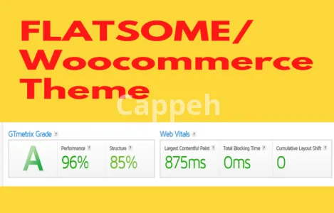 I will speed up flatsome woocommerce theme