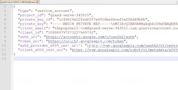 I will setup instant google indexing API for wordpress
