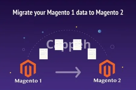 I will migrate your magento 1 data to magento 2
