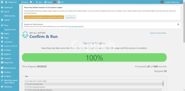 I will import your products using wp all import