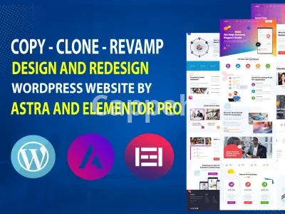 I will redesign copy clone responsive wordpress website template using elementor pro